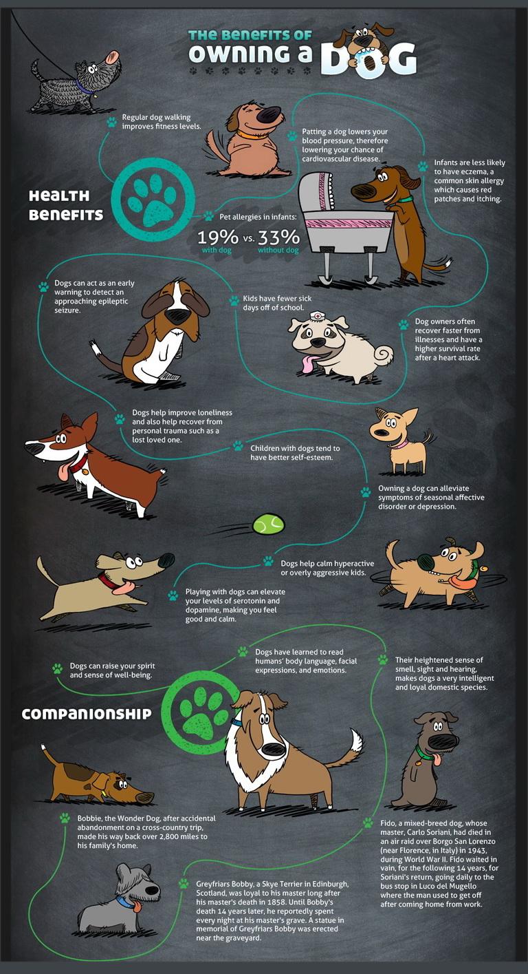 What Are The Benefits Of Owning A Dog