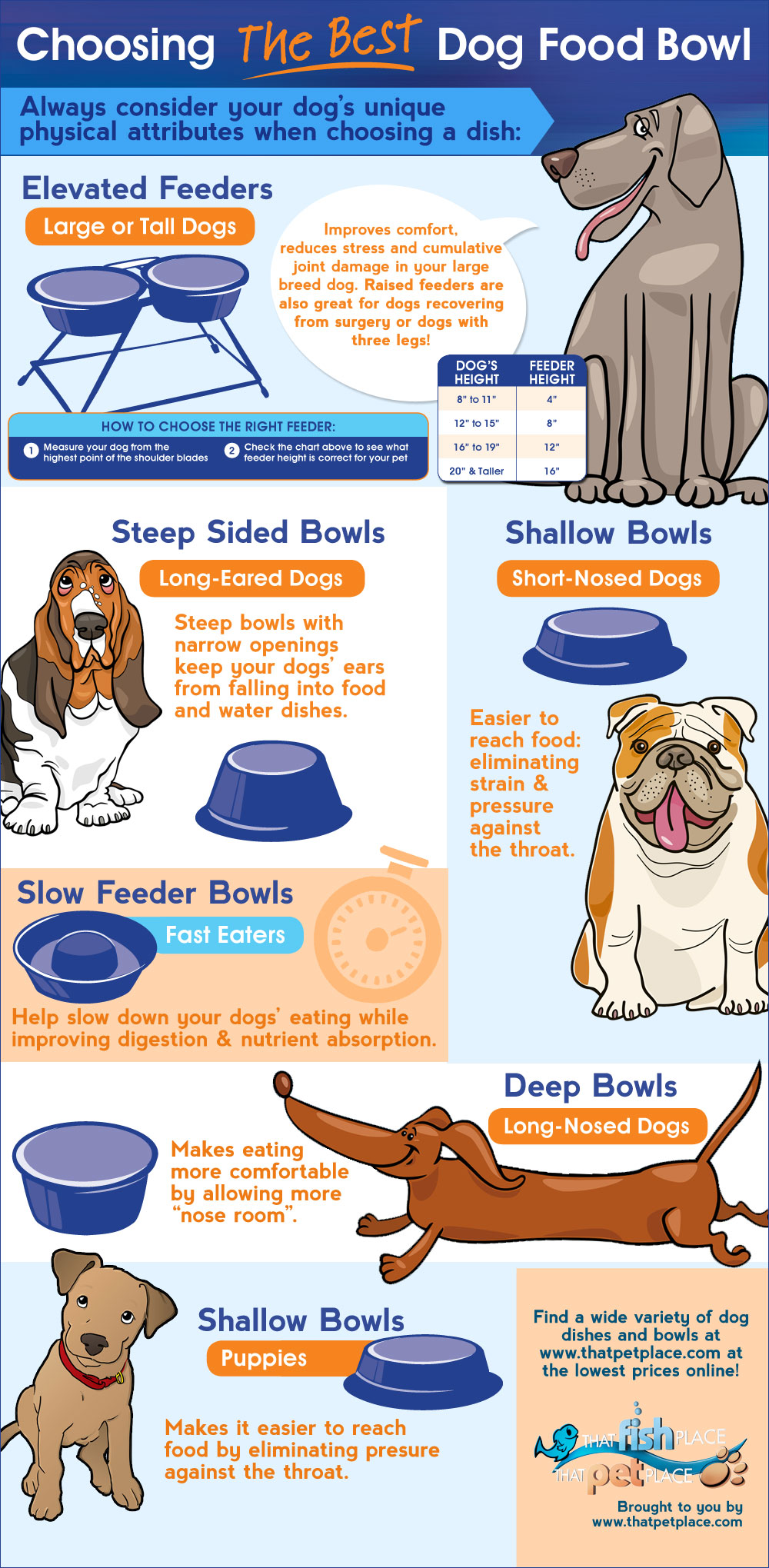 how-to-choose-the-best-dog-bowl - Good Dog People™